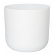 Ivyline 26cm White Lisbon Planter - Old Railway Line Garden Centre