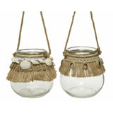 Kaemingk 10cm Glass Sea Shells Tealight Holders (Choice of 2) - Old Railway Line Garden Centre