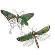 Kaemingk 45cm Iron Insect Outdoor Wall Art (Choice of 2) - Old Railway Line Garden Centre