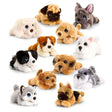 Keel Toys 25cm Signature Cuddle Puppy Soft Toy (Choice of 12) - Old Railway Line Garden Centre