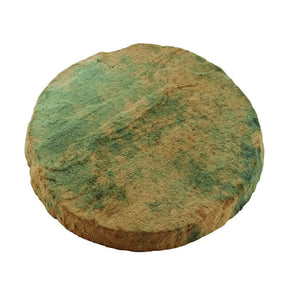 Keldale 30cm Antique Stepping Stone - Old Railway Line Garden Centre