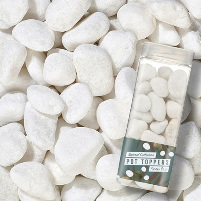 Kelkay Snow Cap Pot Toppers - Old Railway Line Garden Centre