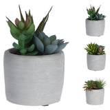 Koopman 11cm Artificial Succulent in Concrete Pot (Choice of 3) - Old Railway Line Garden Centre