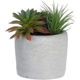 Koopman 11cm Artificial Succulent in Concrete Pot (Choice of 3) - Old Railway Line Garden Centre