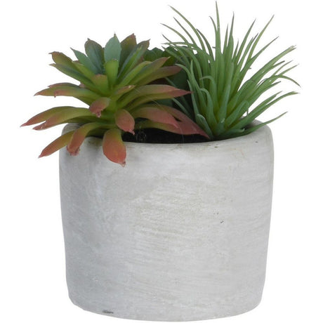 Koopman 11cm Artificial Succulent in Concrete Pot (Choice of 3) - Old Railway Line Garden Centre