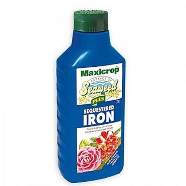 Maxicrop 1 Litre Seaweed Plus Sequestered Iron - Old Railway Line Garden Centre
