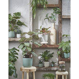 Mica Decorations 17cm Green Daan Houseplant Pot - Old Railway Line Garden Centre