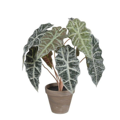 Mica Decorations 44cm Green Artificial Alocasia in Pot - Old Railway Line Garden Centre