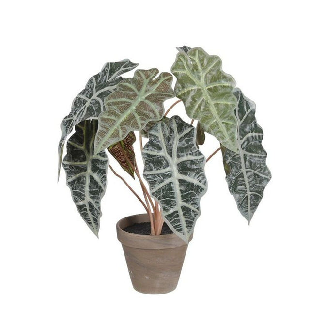 Mica Decorations 44cm Green Artificial Alocasia in Pot - Old Railway Line Garden Centre