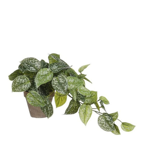 Mica Decorations 44cm Green Artificial Scindapsus - Old Railway Line Garden Centre