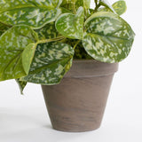 Mica Decorations 44cm Green Artificial Scindapsus - Old Railway Line Garden Centre