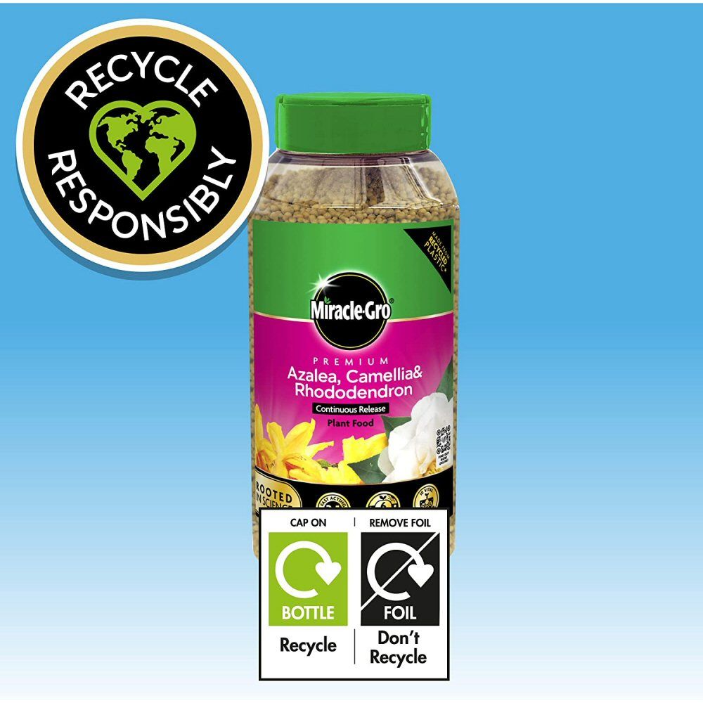 Miracle - Gro 900g Premium Azalea, Camellia & Rhododendron Continuous Release Plant Food - Old Railway Line Garden Centre