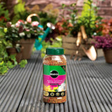 Miracle - Gro 900g Premium Azalea, Camellia & Rhododendron Continuous Release Plant Food - Old Railway Line Garden Centre