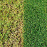 Miracle Gro EverGreen Complete 4 - in - 1 Lawn Food (360m²) - Old Railway Line Garden Centre