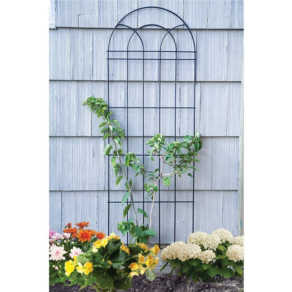 Panacea 182cm Black Trellis - Old Railway Line Garden Centre