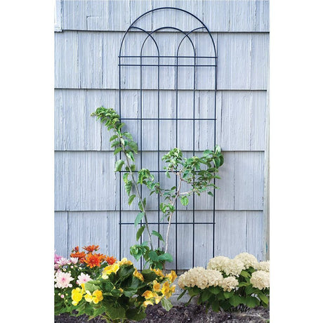 Panacea 182cm Black Trellis - Old Railway Line Garden Centre