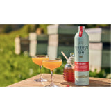 Penrhos 70cl Rhubarb Gin Aluminium Bottle - Old Railway Line Garden Centre