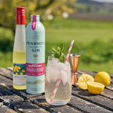 Penrhos 70cl Wonky Raspberry Gin Aluminium Bottle - Old Railway Line Garden Centre