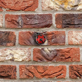 Primus 10cm Small Metal Ladybird Wall Art - Old Railway Line Garden Centre