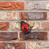 Primus 12cm Medium Metal Ladybird Wall Art - Old Railway Line Garden Centre