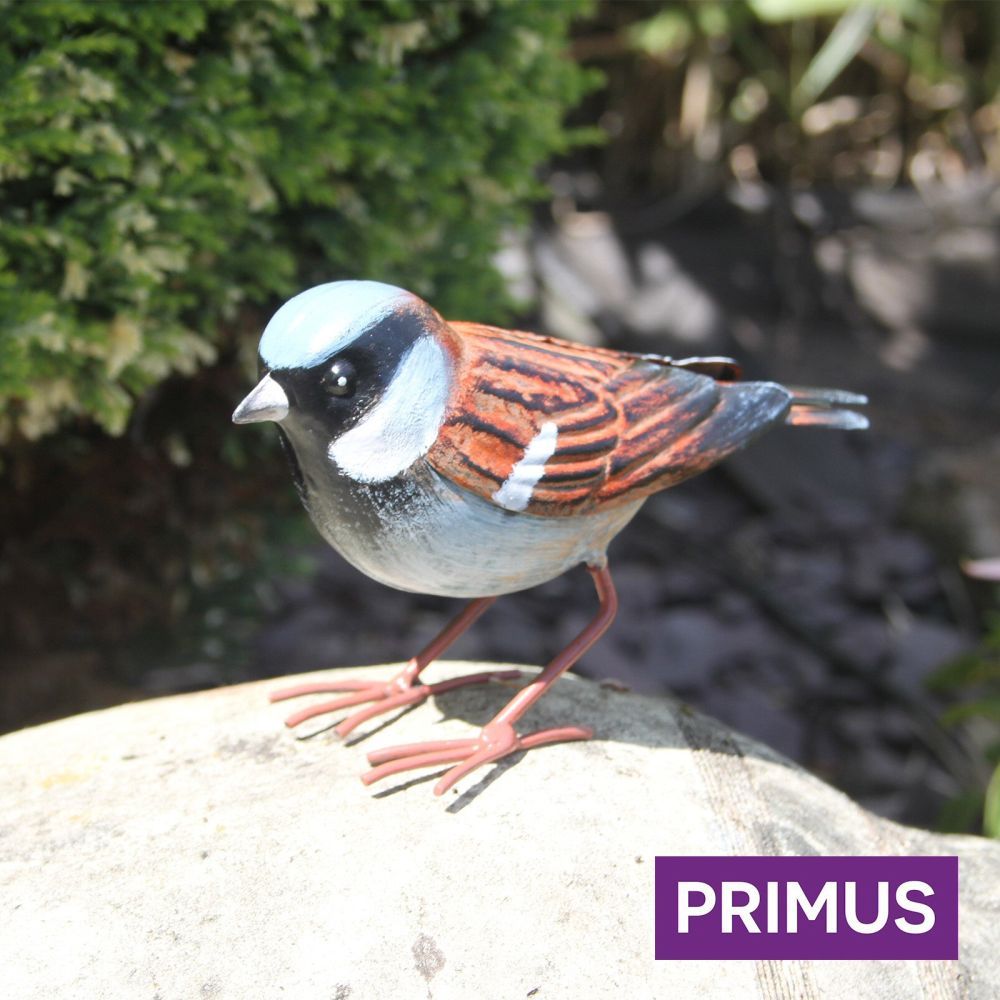 Primus 16cm Large Metal House Sparrow - Old Railway Line Garden Centre