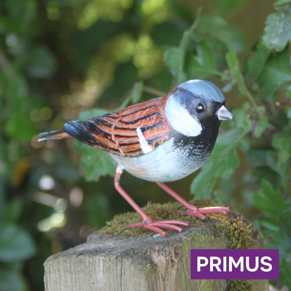 Primus 16cm Large Metal House Sparrow - Old Railway Line Garden Centre