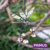 Primus Glass Wing Glow in the Dark Dragonfly Bobbin' Bells (Assorted Colours) - Old Railway Line Garden Centre
