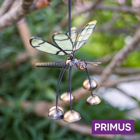 Primus Glass Wing Glow in the Dark Dragonfly Bobbin' Bells (Assorted Colours) - Old Railway Line Garden Centre