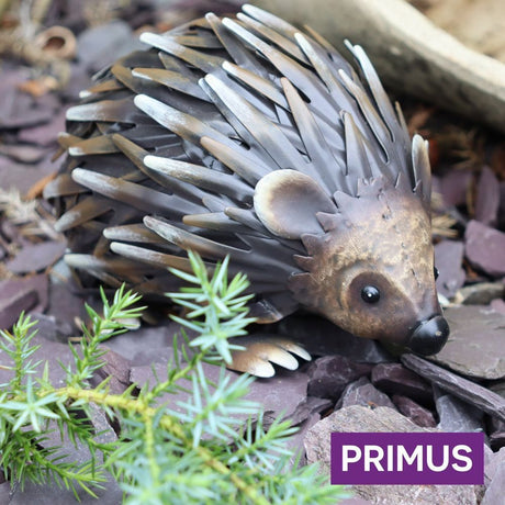 Primus Small Metal Woodland Hedgehog - Old Railway Line Garden Centre