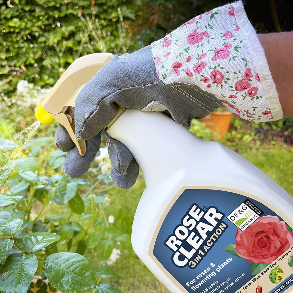 RoseClear 800ml 3in1 Ready to Use Ultra Spray Gun - Old Railway Line Garden Centre