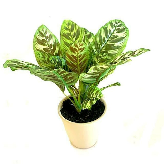 Sincere 26cm Artificial Veined Green Leaf Plant (Choice of 3) - Old Railway Line Garden Centre