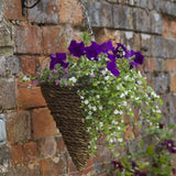 Smart Garden 12" Country Rattan Hanging Cone - Old Railway Line Garden Centre