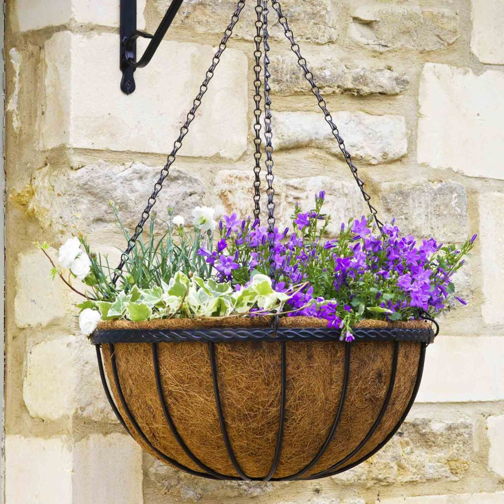 Smart Garden 12" Saxon Hanging Basket - Old Railway Line Garden Centre
