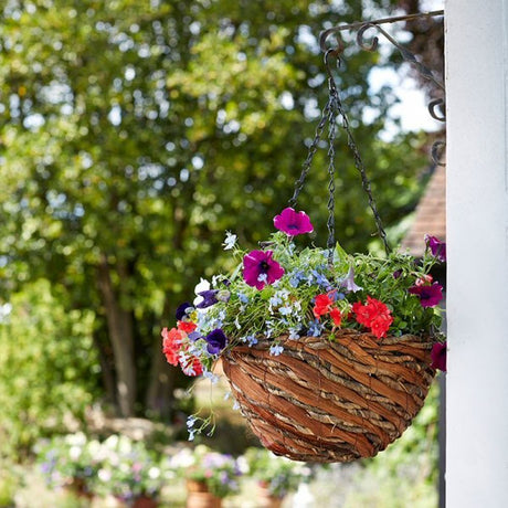 Smart Garden 14" Rafiki Hanging Basket - Old Railway Line Garden Centre