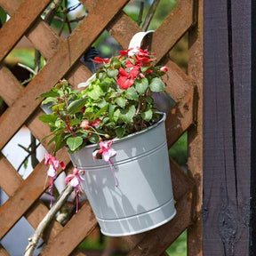 Smart Garden 15cm (6") Ivory Fence & Balcony Hanging Pot - Old Railway Line Garden Centre