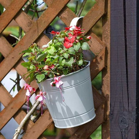 Smart Garden 15cm (6") Ivory Fence & Balcony Hanging Pot - Old Railway Line Garden Centre