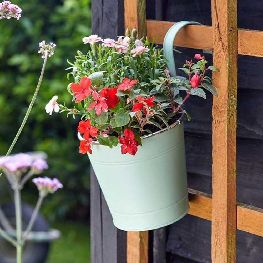 Smart Garden 15cm (6") Sage Fence & Balcony Hanging Pot - Old Railway Line Garden Centre