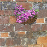 Smart Garden 16" Smart Wall Basket - Old Railway Line Garden Centre