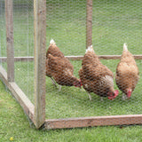 Smart Garden 1m x 5m 13mm Galvanised Wire Netting - Old Railway Line Garden Centre