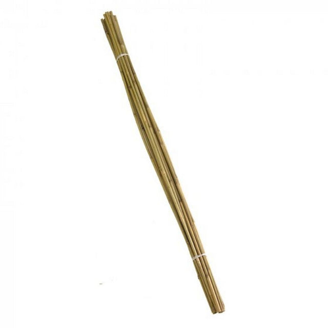 Smart Garden 210cm Bamboo Support Canes Bundle of 10 - Old Railway Line Garden Centre