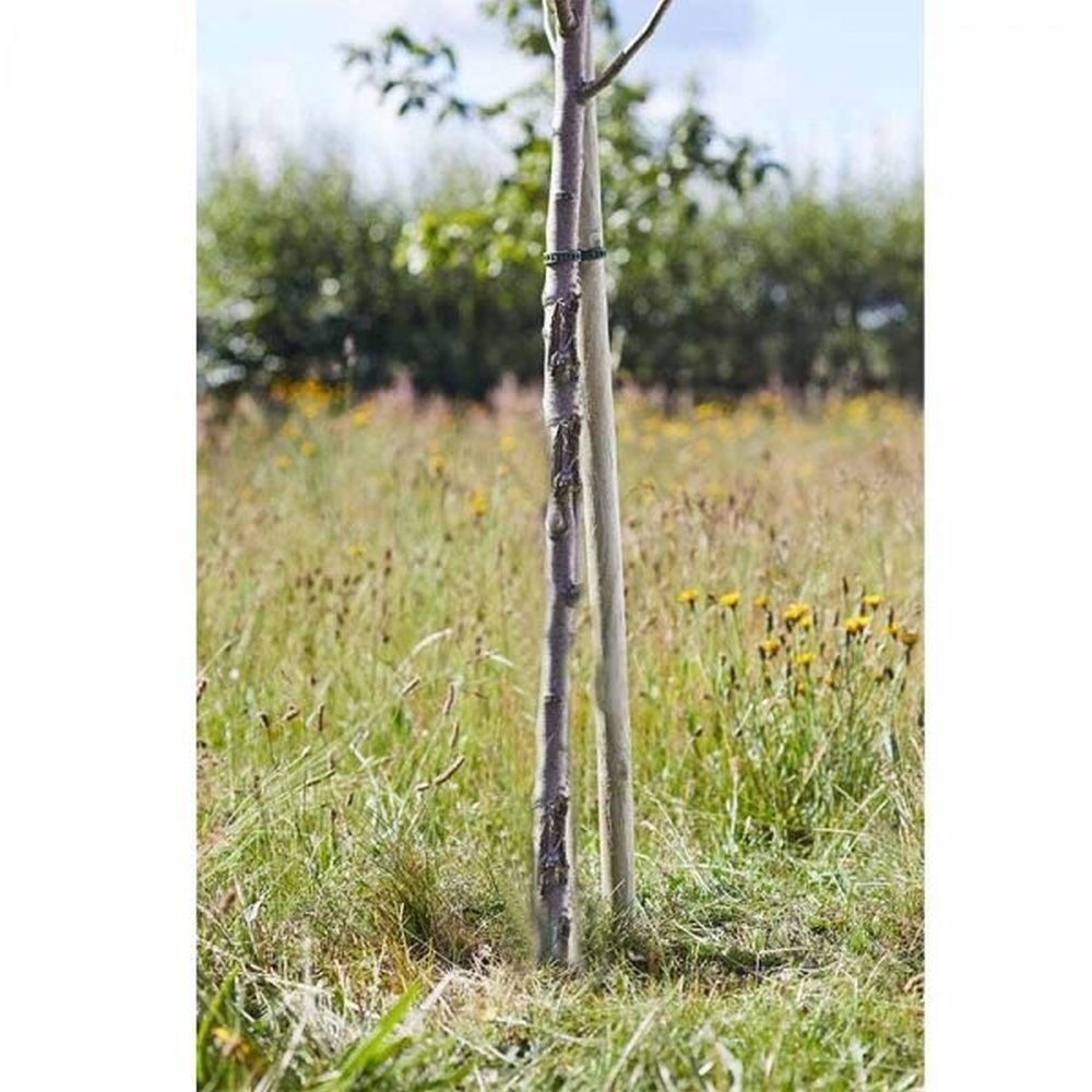 Smart Garden 2.4m x 50mm Softwood Round Tree Stake - Old Railway Line Garden Centre