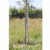 Smart Garden 2.4m x 50mm Softwood Round Tree Stake - Old Railway Line Garden Centre