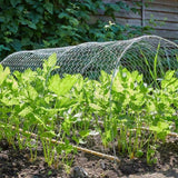 Smart Garden 25mm Galvanised Wire Netting 1x5m - Old Railway Line Garden Centre