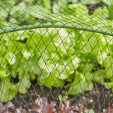 Smart Garden 4 x 10m 25mm Black Mesh Fruit Netting - Old Railway Line Garden Centre