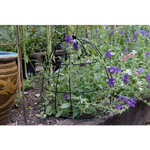 Smart Garden 45cm Beehive Plant Support - Old Railway Line Garden Centre