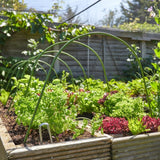 Smart Garden 50cm Cloche Hoops (Pack of 6) - Old Railway Line Garden Centre