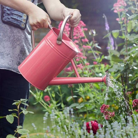 Smart Garden 9 Litre Galvanised Steel Watering Can - Old Railway Line Garden Centre