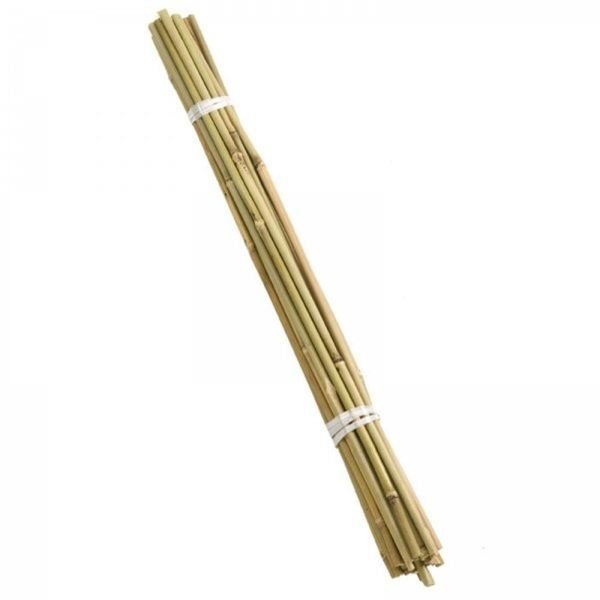 Smart Garden 90cm Bamboo Support Canes Bundle of 20 - Old Railway Line Garden Centre