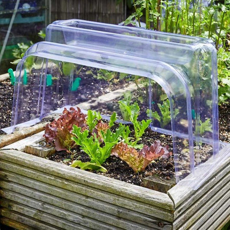 Smart Garden Clear Cloche Ends - Old Railway Line Garden Centre