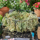 Smart Garden Jumbo Sphagnum Moss Hanging Basket Liner - Old Railway Line Garden Centre